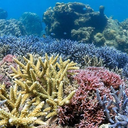 ホテル Alam Karang Gili Gede エクステリア 写真