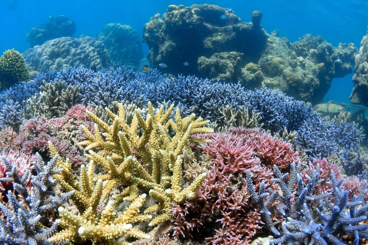 ホテル Alam Karang Gili Gede エクステリア 写真